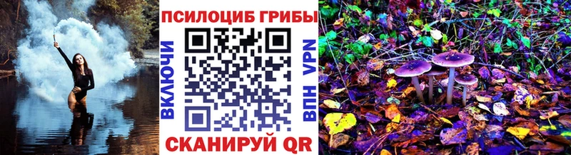 Псилоцибиновые грибы ЛСД  блэк спрут ONION  Реутов  даркнет сайт 