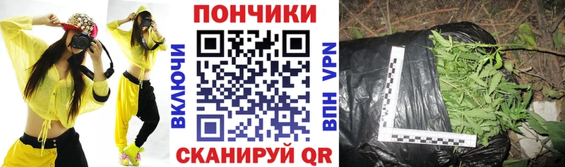 Бошки марихуана ГИДРОПОН  где купить наркоту  площадка какой сайт  Реутов 